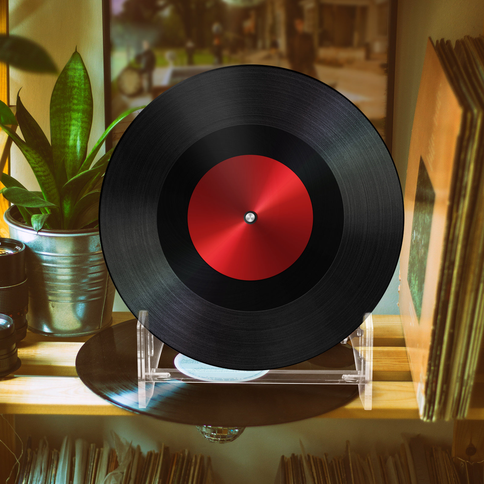 Estante de exhibición de disco - Magazines reseña y precio